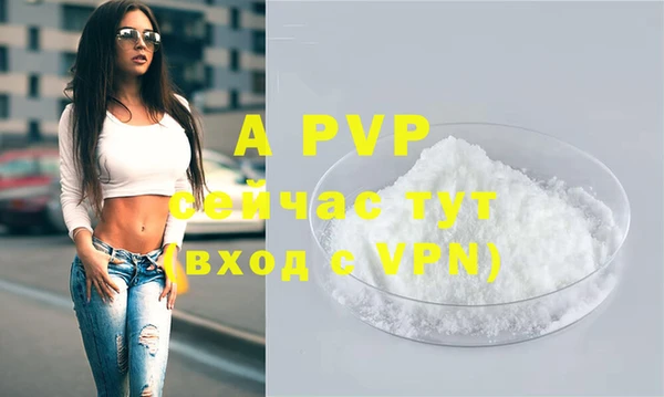 индика Балахна
