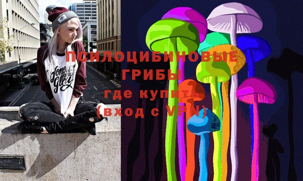 индика Балахна
