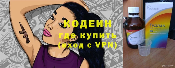 индика Балахна