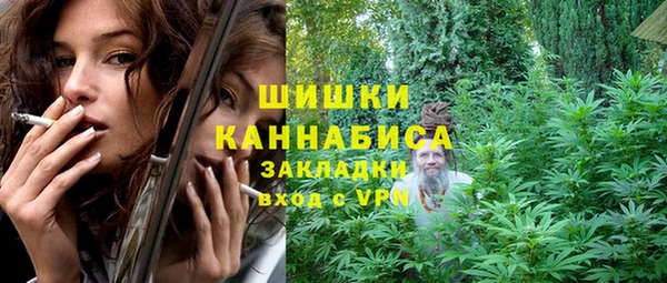 индика Балахна